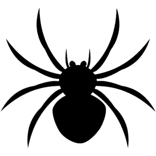 BLACK SPIDER Thumbnail